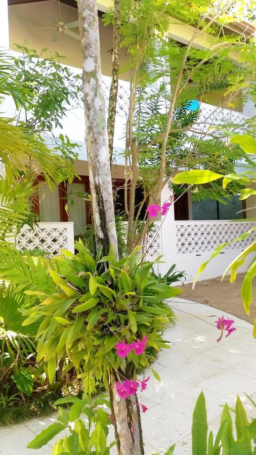 Idle Awhile Beach Otel Negril Dış mekan fotoğraf